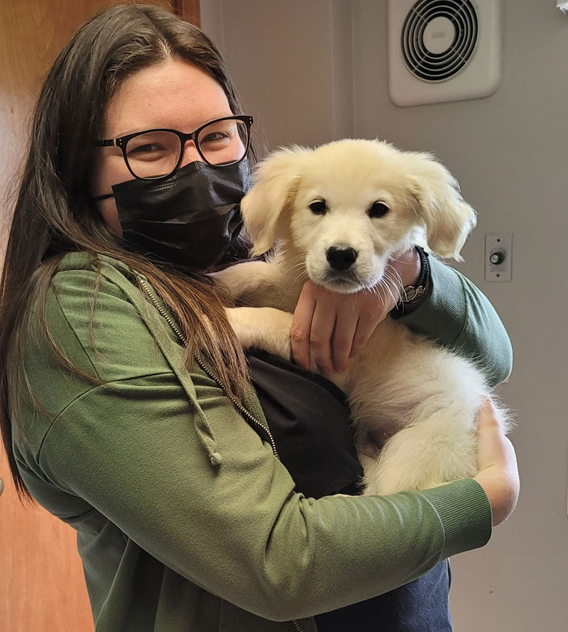 Veterinarian in McMurray Vets Near Me Brush Run Veterinary Clinic