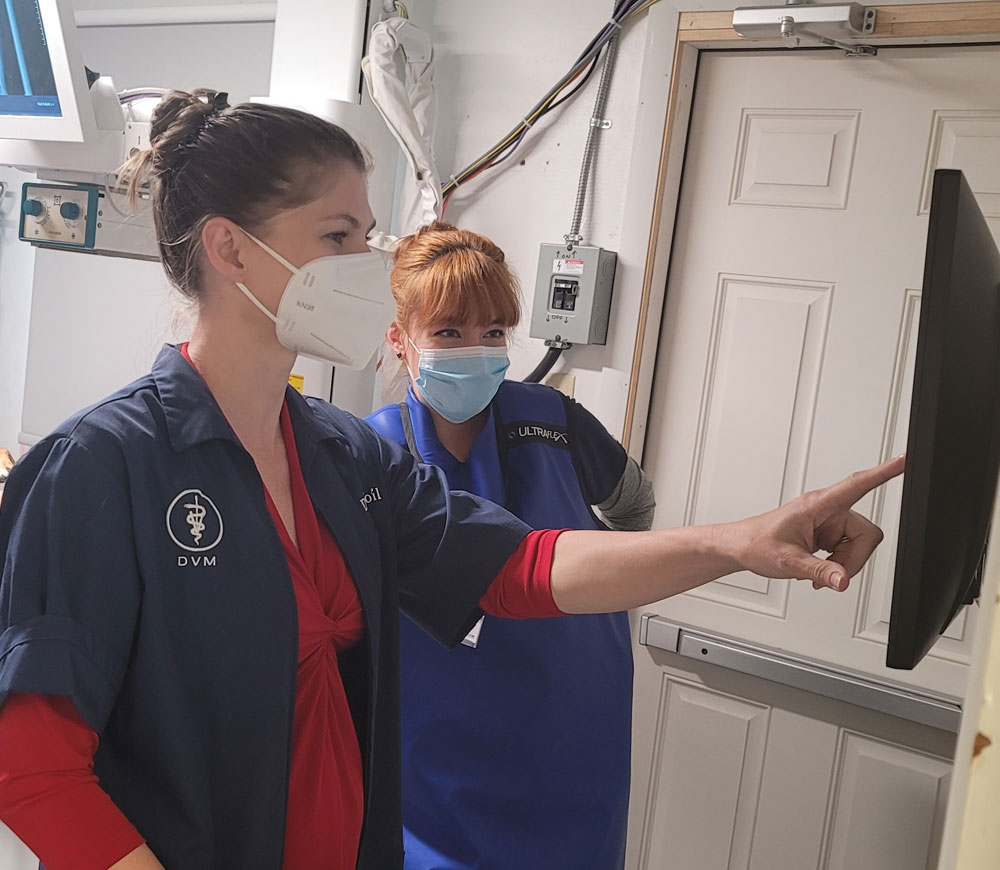 Veterinarian in McMurray Vets Near Me Brush Run Veterinary Clinic