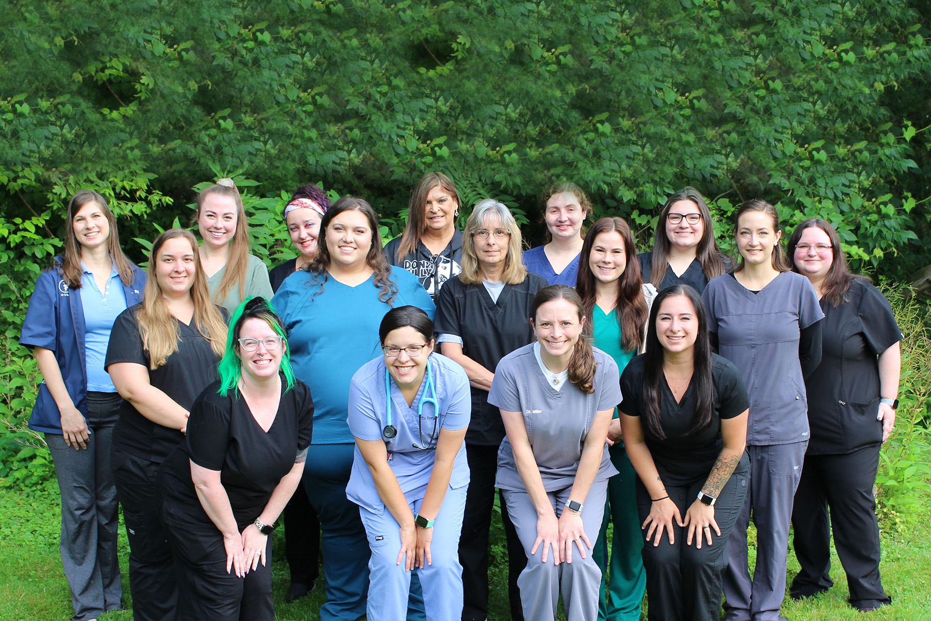 Team Vet in McMurray Brush Run Veterinary Clinic