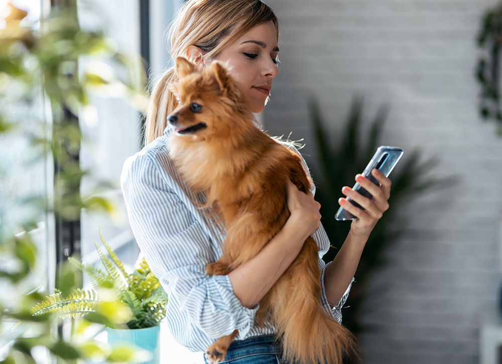 Pet Insurance Vet in McMurray Brush Run Veterinary Clinic