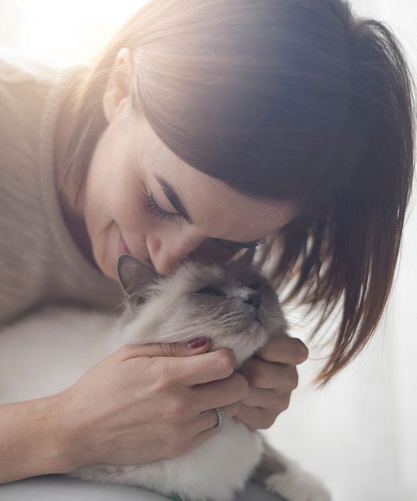 Pet Insurance Vet in McMurray Brush Run Veterinary Clinic