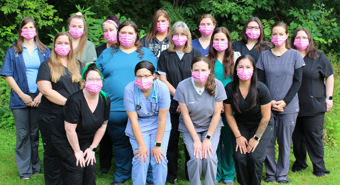 Careers Vet in McMurray Brush Run Veterinary Clinic